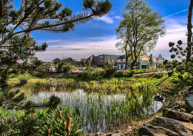 Pflanzenkläranlage im Zoo